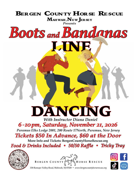 Boots & Bandanas Horse Rescue Fundraiser (November 21st)