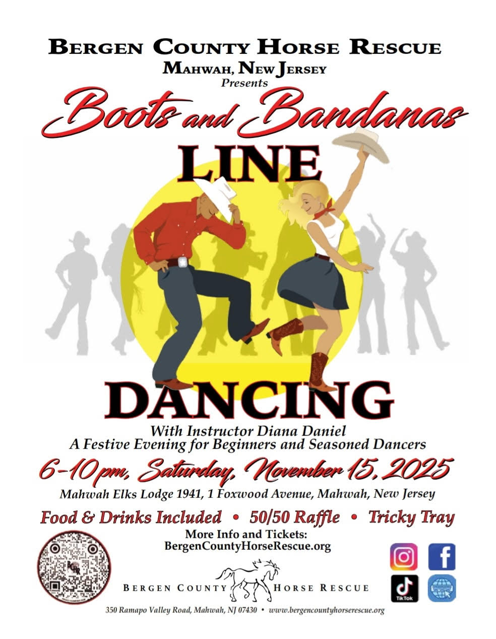 Bergen County Horse Rescue (November 15th)