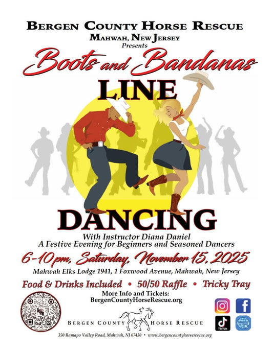 Bergen County Horse Rescue (November 15th)